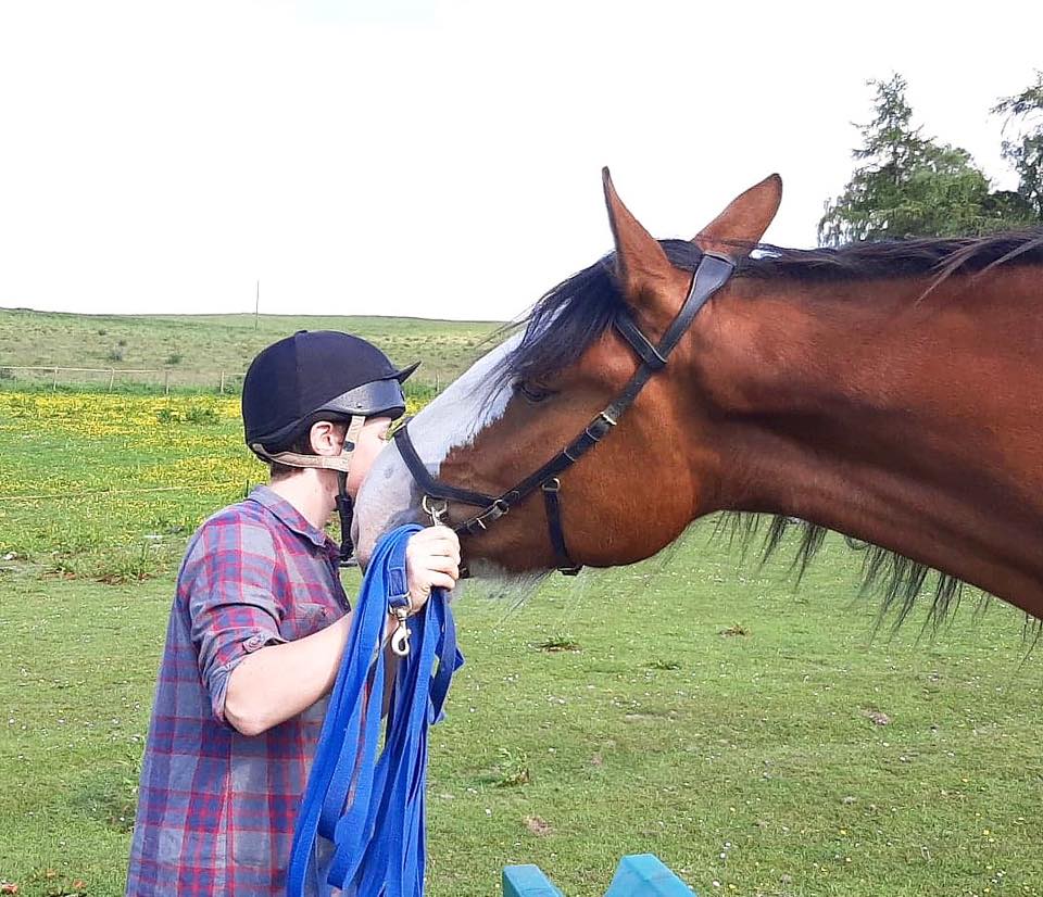 Bringing On Our Young Clydesdale ...