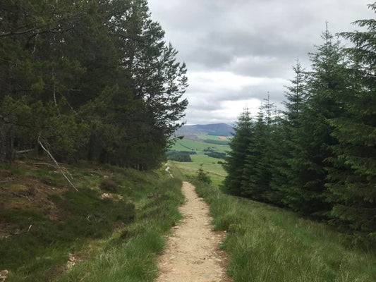 An Evening Stroll Above Glenlivet :)