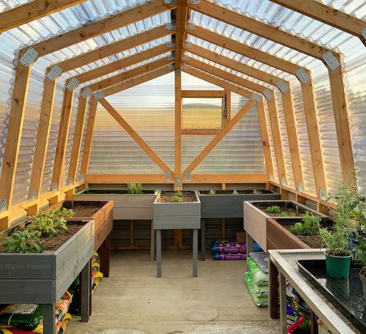 Greenhouse Update … :)