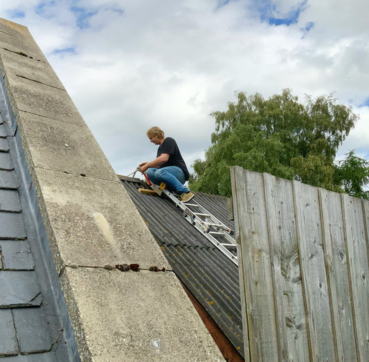 Our Shed Needed Some TLC … :)