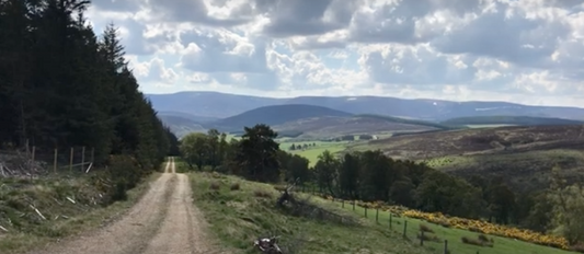 A Walk To Clash Woods - Glenlivet.