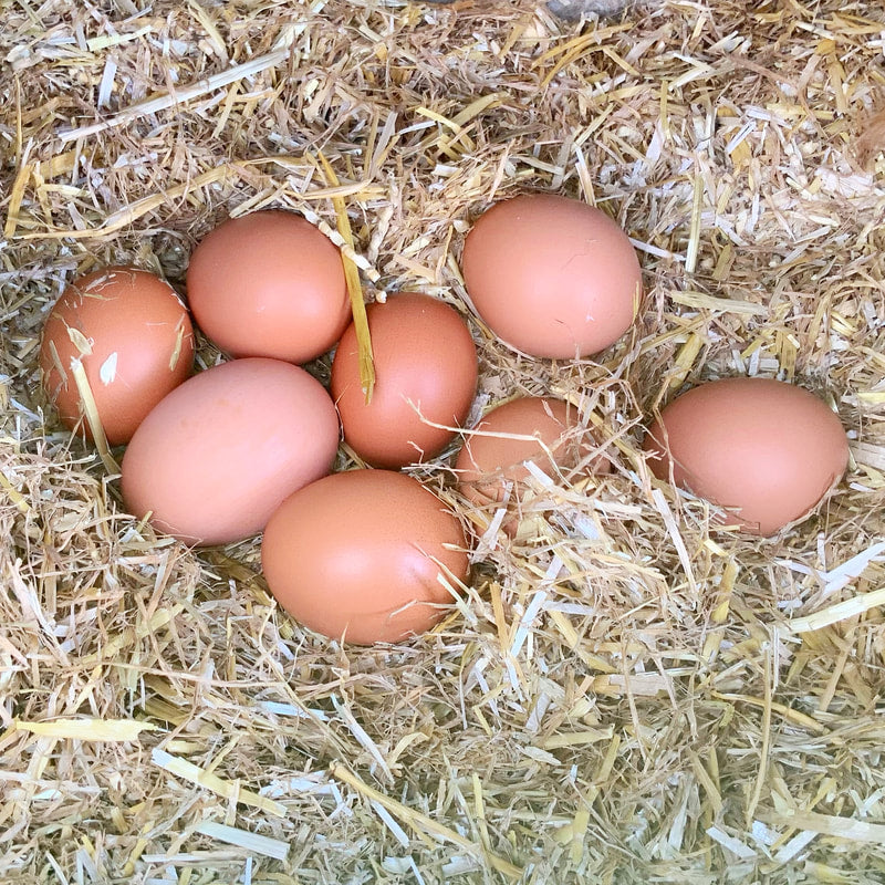 Eggs, Glorious Eggs … :)