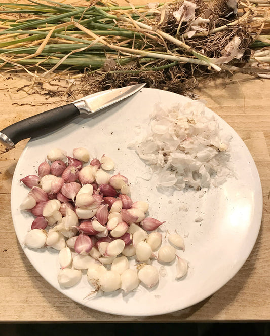 Home Grown Garlic … :)