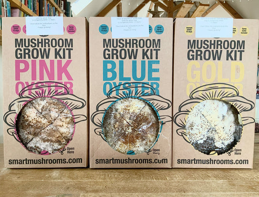 Growing Our Own Mushrooms …. :)